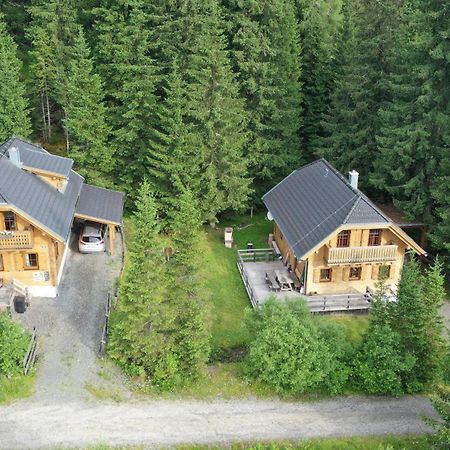 Almhaus & Almchalet Flattnitz Dış mekan fotoğraf