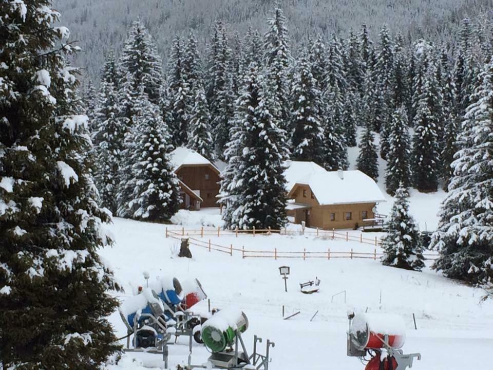 Almhaus & Almchalet Flattnitz Dış mekan fotoğraf