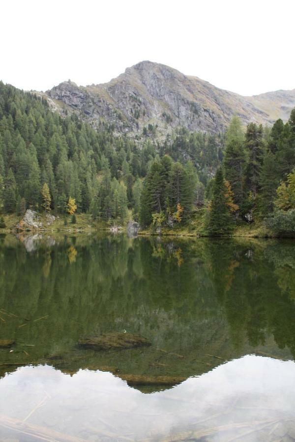 Almhaus & Almchalet Flattnitz Dış mekan fotoğraf