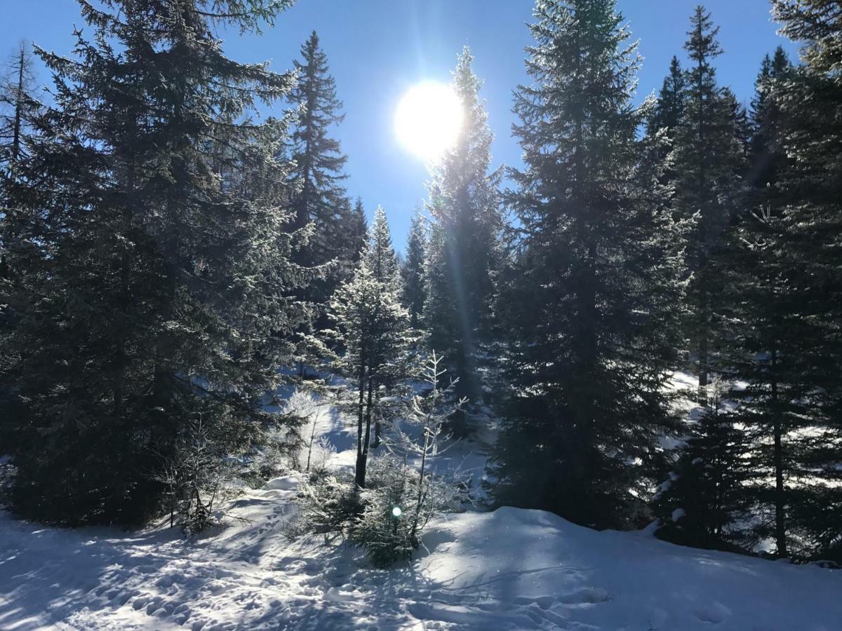 Almhaus & Almchalet Flattnitz Dış mekan fotoğraf