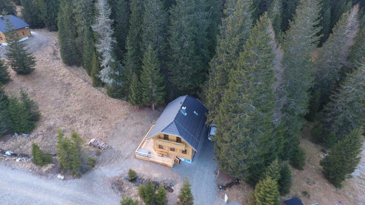 Almhaus & Almchalet Flattnitz Dış mekan fotoğraf