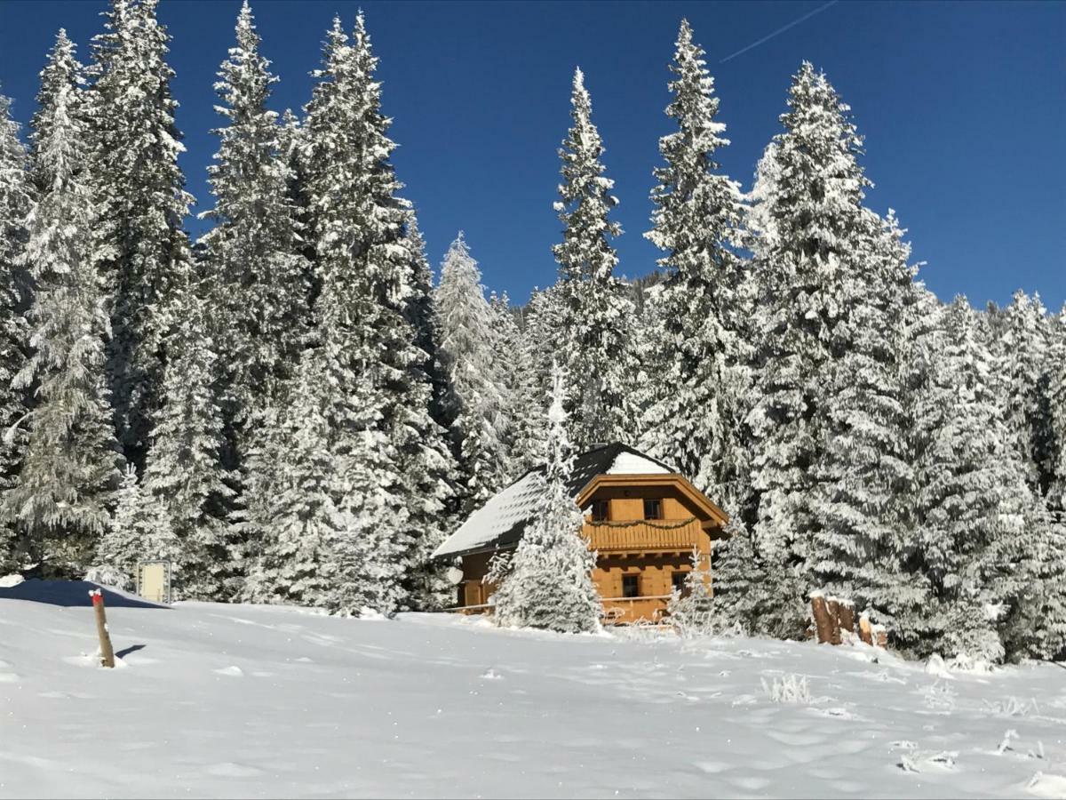 Almhaus & Almchalet Flattnitz Dış mekan fotoğraf